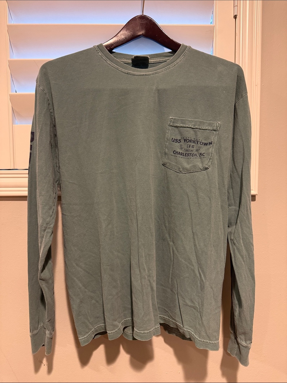 Comfort Colors Men's Long Sleeve Pocket Tee in Sage Green